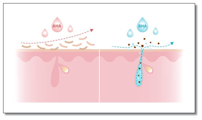 ํผ๋ถ๊ณผ ํ๋ง์ 